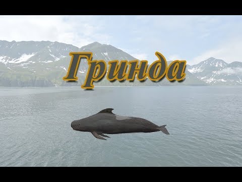 Русская Рыбалка 3.99 (Russian Fishing) Гринда короткоплавниковая
