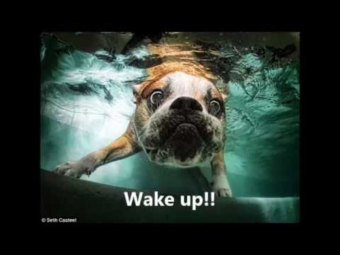 Love Solutions ft Allen and Kanishk