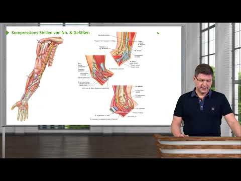 Anatomie I Obere Extremität: Oberarm, Unterarm, Hand & Ellenbogenbereich I Prof. Dr. med. Wirth