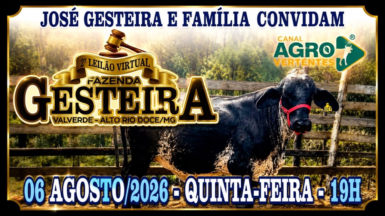 2º LEILÃO VIRTUAL FAZENDA GESTEIRA - JOSÉ GESTEIRA E FAMÍLIA - ALTO RIO DOCE/MG - 06/08/2026