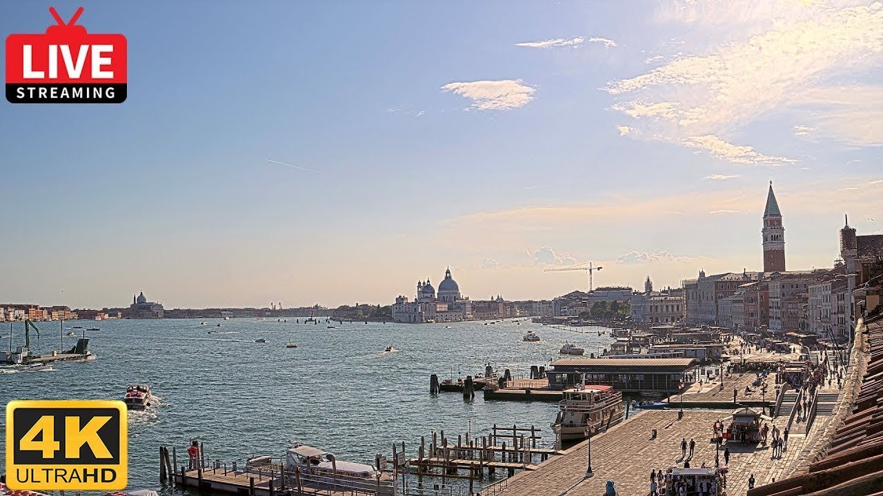 Live webcam view of St. Mark's Basin Venice View