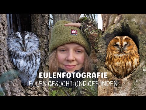 Wie findet man Eulen? Meine Tipps!