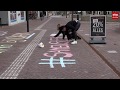 Ondernemers uit Hoogeveen krijten de mooiste boodschappen