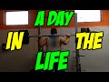 Mr Mammal | A Day in the Life Video! 