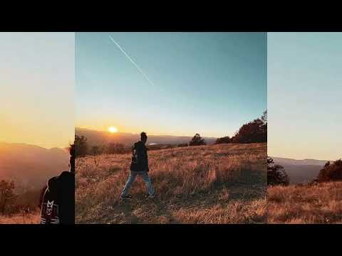 Petac - Medicine 💊