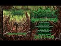 INTESTINAL ENGORGEMENT PUTREFYING CONSUMPTION OF DISMEMBERMENT 2022 FULL ALBUM STREAM