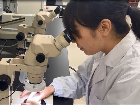 学生インタビュー　研究紹介①　摂南大学農学部　農業生産学科