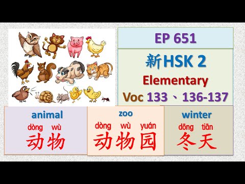[EP 651] New HSK 2 Voc 133、136-137 (Elementary): 冬天、动物、动物园|| 新汉语水平3.0- 初级词汇2 || Join My Live
