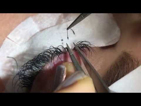 download lagu mp3 mp4 Integrity Lash, download lagu Integrity Lash gratis, unduh video klip Integrity Lash