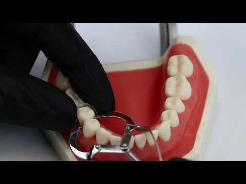Waldent Matrix Retainer - Ivory No. 1 (8/106)