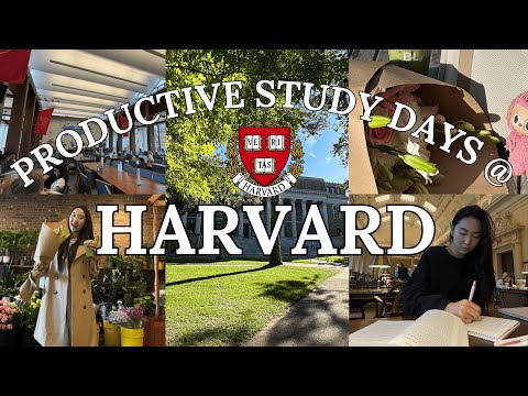 HARVARD STUDY VLOG 🍵 PRODUCTIVE days in my life as a harvard sophomore