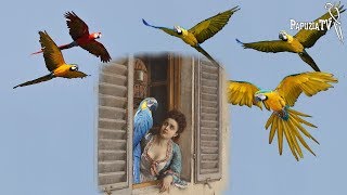 Не обобщайте всех попугаев - часть 2