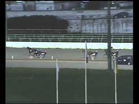 Trotto 02/12/2014 - 4° corsa