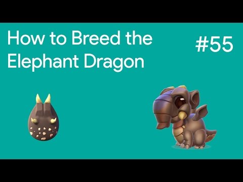 How to Breed the Elephant Dragon | DML Breeding Guide #55