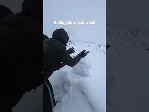 Does the snowball grow on rolling it downhill?