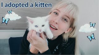 I adopted a munchkin kitten / vlog