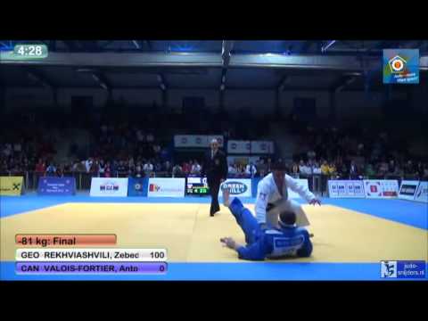 Judo 2014 European Open Men Oberwart: Rekhviashvili (GEO) - Valois Fortier (CAN) [-81kg] final