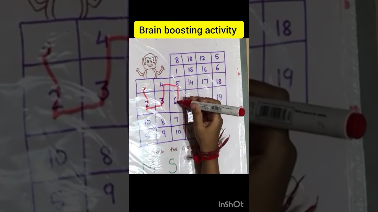 Brain Boosting worksheets /visual perception activity