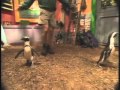 Zoboomafoo Invade O Clube DX TV