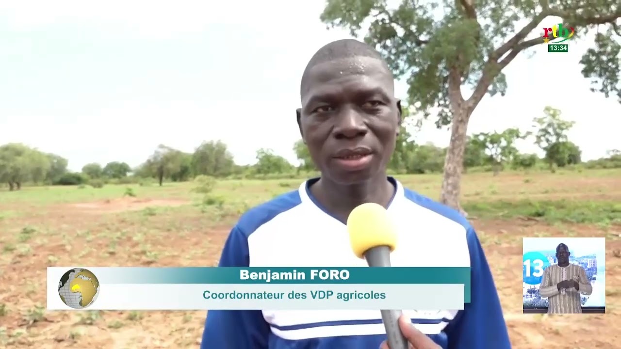 La campagne agricole a véritablement démarré pour les VDP agricoles de la commune de Téma-Bokin
