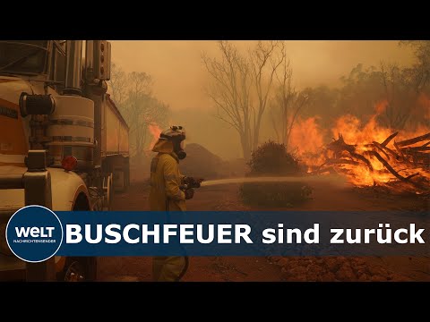 WALDBRAND AUßER KONTROLLE: Buschfeuer zerstören tausende Hektar bei australischen Perth
