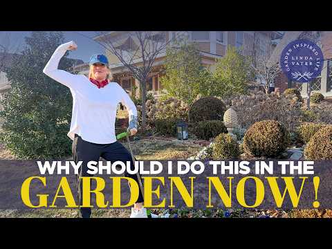 Why Should I Do This In The Garden Right Now? | Linda Vater 🌿