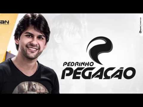 Pedrinho Pegação - Chama No PV - Música Nova