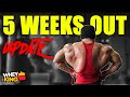 JOVEN SAGABAIN 5 WEEKS OUT PRO BODYBUILDING PREP!