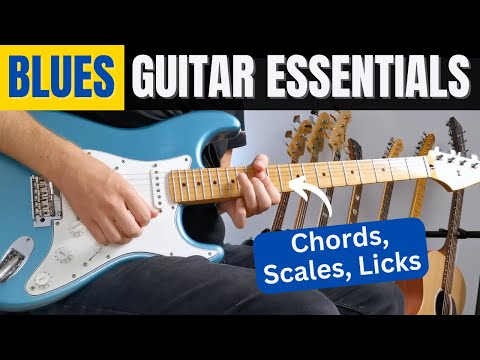 10 Things Every BLUES Player Should Know! [Beginner/Intermediate Tutorial]