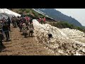 Kedarnath Whatsapp Status Kedarnath Temple In Uttarakhand Namo Namo