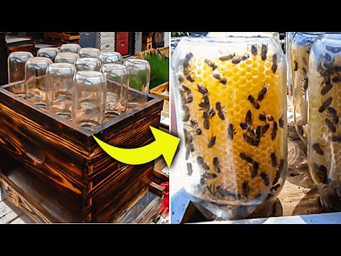 , title : 'This Guy Invented A Homemade Beehive To Save The Bees, And It’s Going Viral
