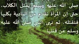 الطريق إلى علم أصول الفقه06 - أسئلة وتطبيقات على ما سبق- عامر بهجت image