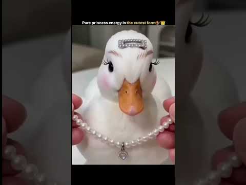 Pure princess energy in the cutest form! 🤩