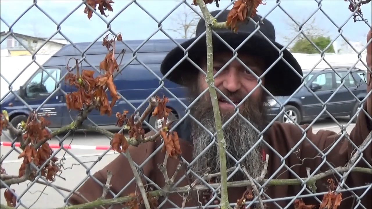 Vorschaubild zum Video