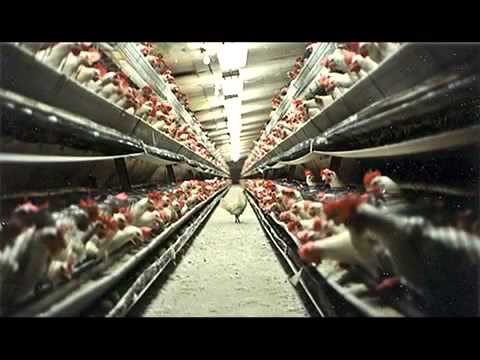 Revolta - Až se naše deti vzbudí (Official music video)