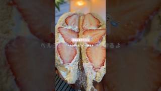 ヘルシーいちごホイップサンド🍓🥪#ダイエットレシピ #ヘルシーレシピ #簡単レシピ #料理