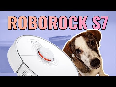 Should you get a robot vacuum cleaner if you have a pet? | Roborock S7 review