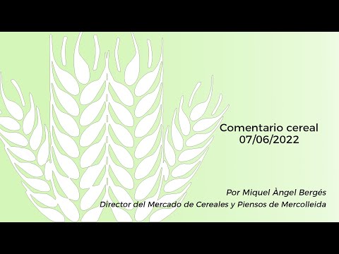 Comentario cereal - 07/06/2022