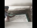 Green Marble Border Design 2023 Marble Bodar