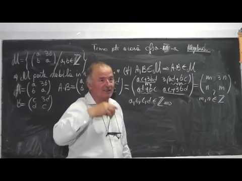 1/2 1036 Matrice Partea stabila a unei multimi in raport cu o operatie Limite de siruri Clasa 12