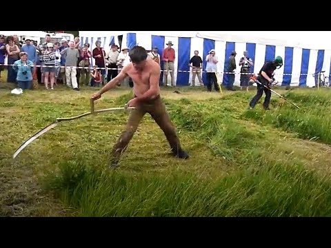 Die Schnellsten Arbeitskräfte Der Welt