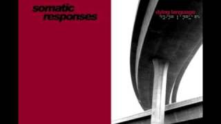 Somatic Responses - Gizrm