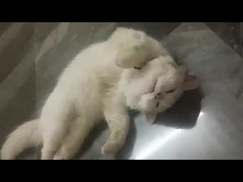 sleeping beauty in action 😍