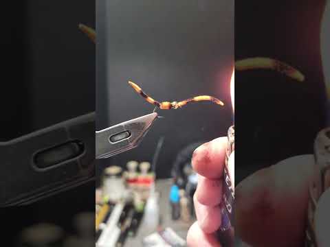 Tying the BEST Version of the San Juan Worm - Montana Fly Tiger Worm Fly #flytyer #flytyer #fishing