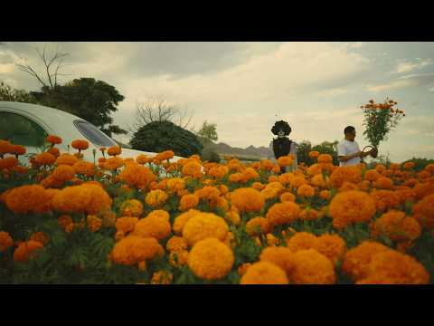 2 de Noviembre Short Film By Hyperslabz