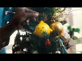 Een wens om samen te zijn | Disney’s Kerstclip 2023 | Disney NL