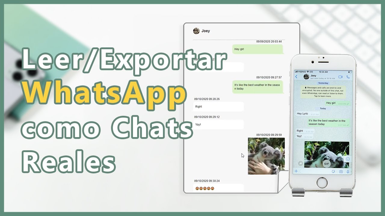 Exportar chats de WhatsApp con iMyTrans