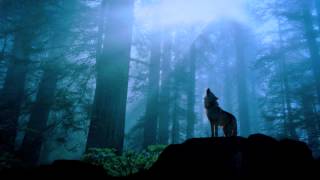 Klaus Schulze - In Blue (Bonus Disc)