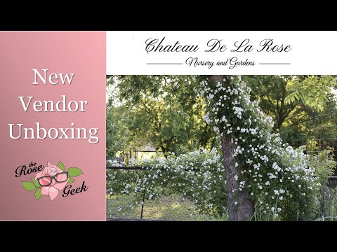 🌹 Chateau de la Rose Unboxing | New Vendor for me