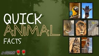 facts about animals 🤔 #trending